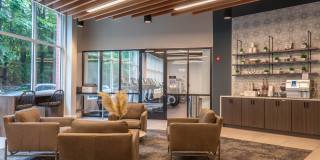 The Scholar The Scholar Gallery 8