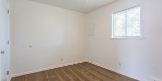 Harbor Square Gallery 5