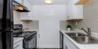 Palisade Park Gallery 2