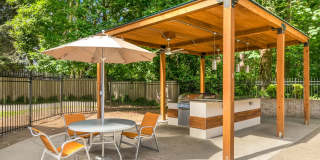 Autumn Chase Gallery 8