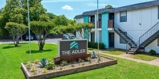 The Adler Gallery 24