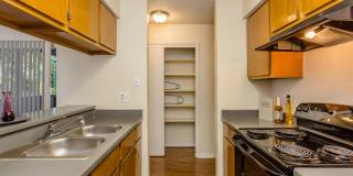 Arbor Hill Gallery 10