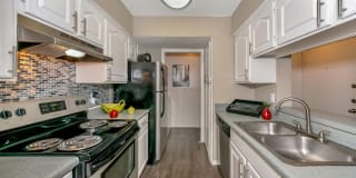 River Park Gallery 4