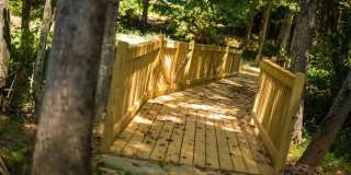 Davis Gardens Gallery 39