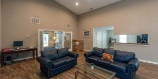 Terrace View Gallery 14