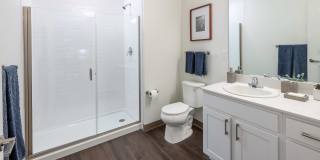 Axis at Ansel Axis at Ansel Gallery 9