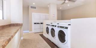 Paradise Foothills Gallery 1