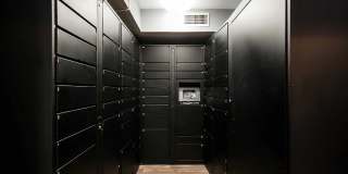 Celebration at Sandy Springs Gallery 7