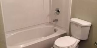 Boston Creek Gallery 17