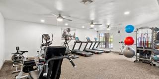 Seraphina Castle Hills Gallery 12