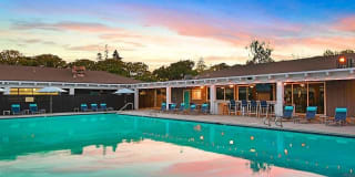 Camden Village Gallery 20