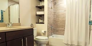 Ovation 309 Gallery 21