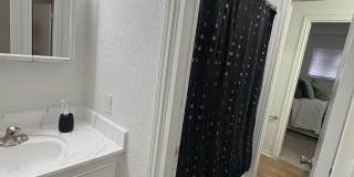 Springwood Park Apartments Gallery 8