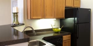 Oxford at Sonterra Gallery 9