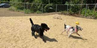 Sunset Ridge Apartments Gallery 7