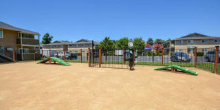 Timber Creek Gallery 10