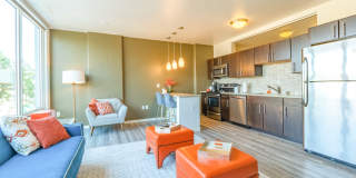 Ovation 309 Gallery 14