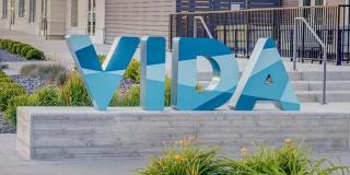 Vida at Daybreak Gallery 43