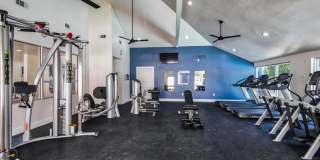 Latitude 2976 Gallery 10