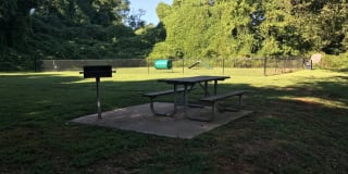 Goldelm at Cedar Bluff Gallery 5