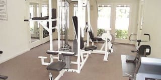 Windchase Hamlet Apartments Gallery 14