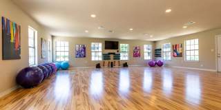 Harwood Hills Gallery 81