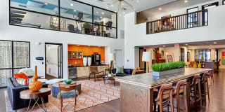 The Curve at Melrose Gallery 29