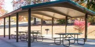 Dresden Forest Gallery 10