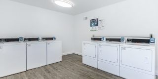 The Carlson Gallery 41