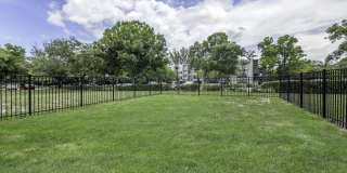 The Club at Emerald Waters Gallery 11