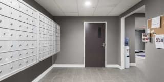 305 Dutton Street Gallery 11