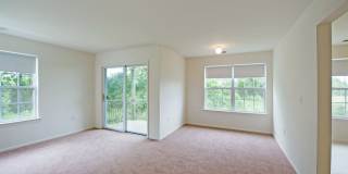 Somerset Park Gallery 10