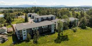 Alder Creek Gallery 10