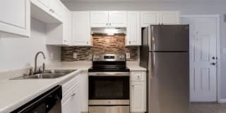 The Lory of Augusta The Lory of Augusta Gallery 1