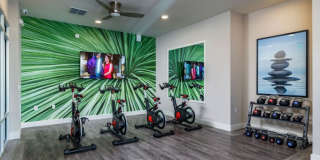 Legacy Universal Gallery 19