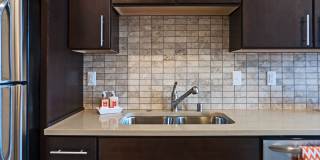 Ovation 309 Gallery 8