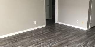 Wilshire on Mockingbird Gallery 6