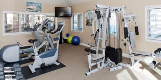 Park Royal Gallery 8