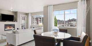 Baseline Woods Gallery 8