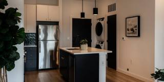 The Zenith Gallery 2