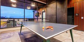 Bell Alderwood Gallery 33