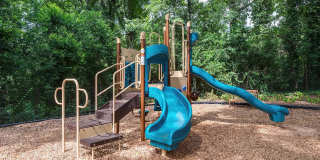 Celebration at Sandy Springs Gallery 10