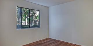 Birchmont Apartment Homes - Senior Housing Gallery 12