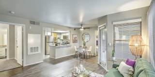 Desert Sage Gallery 6