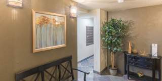 Cimarron Gallery 6