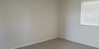 Wintercove Apartments Gallery 7