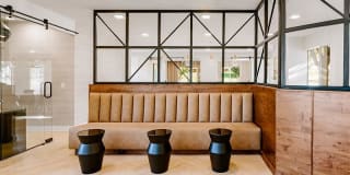 Kallisto at Bear Creek Gallery 11