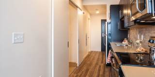 Ovation 309 Gallery 7