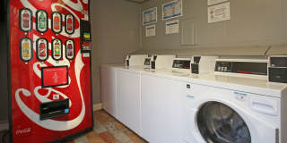 The Vintage Gallery 15