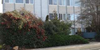 Lancer Apartments Gallery 20